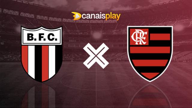 Assistir Botafogo-SP x Flamengo ao vivo 17/01/2024 online