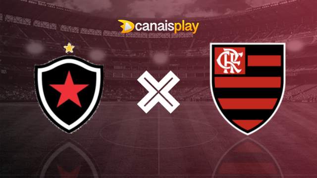 Assistir Botafogo x Flamengo ao vivo HD 02/09/2023 online