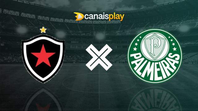 Assistir Botafogo x Palmeiras ao vivo 01/11/2023 online
