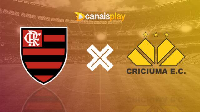 Assistir Flamengo x Criciúma ao vivo 20/07/2024 online