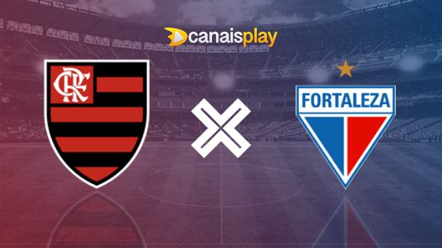 Assistir Flamengo x Fortaleza ao vivo 29/08/2024 online