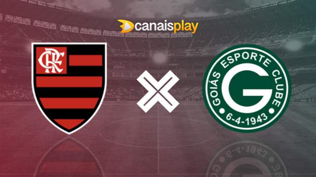 Assistir Flamengo x Goiás ao vivo grátis 23/10/2024 