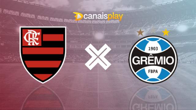 Assistir Flamengo x Grêmio ao vivo 16/08/2023 online