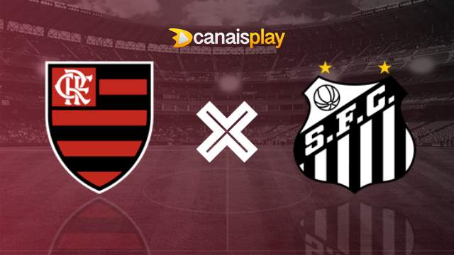 Assistir Flamengo x Santos ao vivo HD 12/08/2023 online