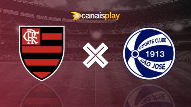 Assistir Flamengo x São José-RS ao vivo 15/01/2024 online