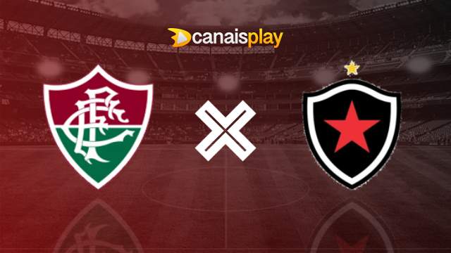Assistir Fluminense x Botafogo ao vivo 08/10/2023 online