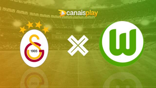 Assistir Galatasaray x Wolfsburg ao vivo 13/11/2024