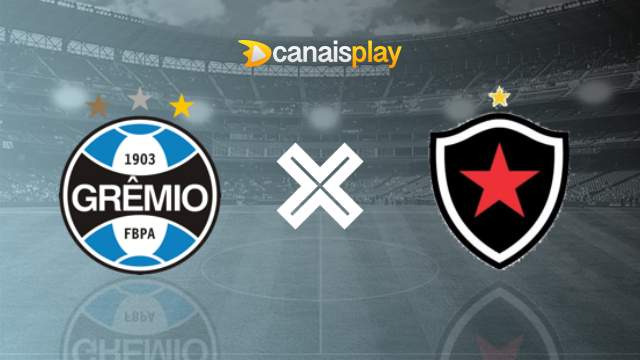 Assistir Grêmio x Botafogo ao vivo 16/06/2024