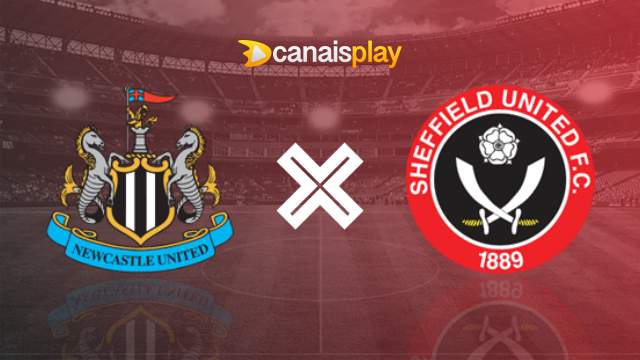 Assistir Newcastle x Sheffield United ao vivo 27/04/2024