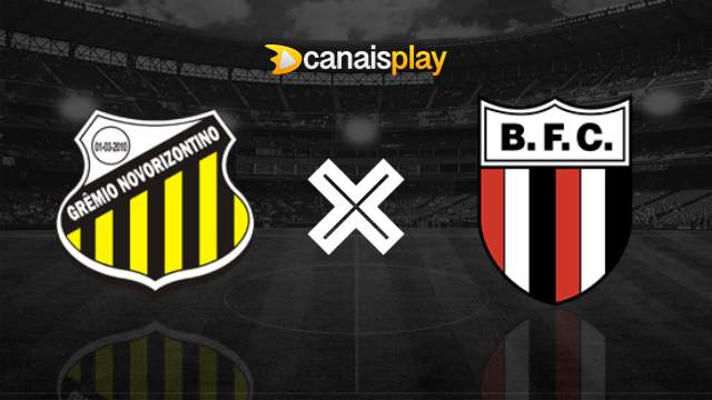 Assistir Novorizontino x Botafogo-SP HD 27/06/2023 ao vivo 