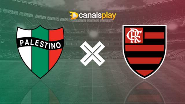 Assistir Palestino x Flamengo HD 07/05/2024 ao vivo 