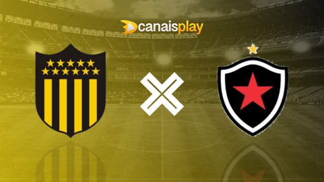 Assistir Peñarol x Botafogo ao vivo 30/10/2024