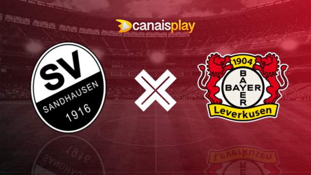 Assistir Sandhausen x Bayer Leverkusen ao vivo HD 01/11/2023 online