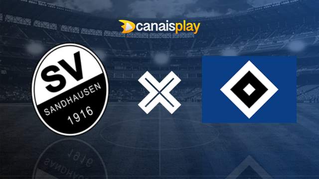 Assistir Sandhausen x Hamburgo ao vivo 28/05/2023 online