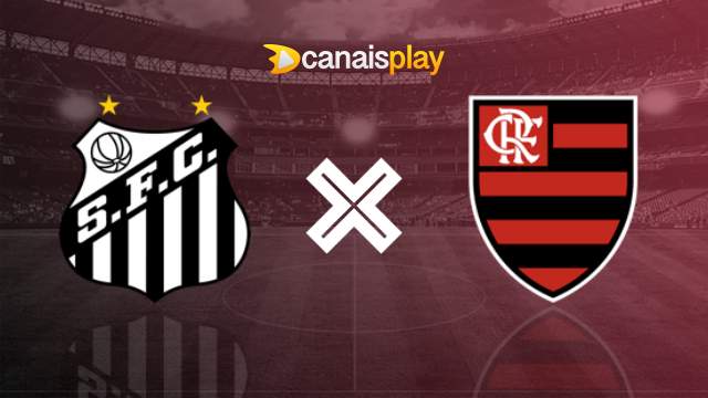 Assistir Santos x Flamengo ao vivo 04/08/2023