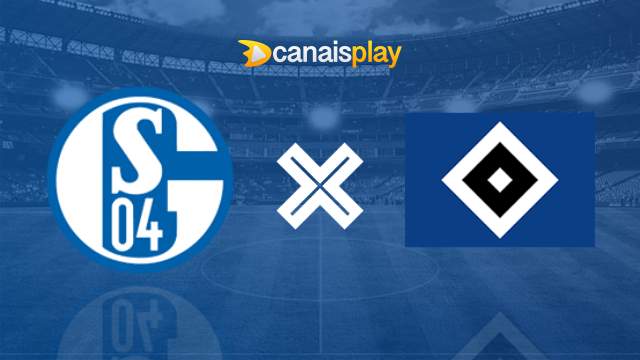 Assistir Schalke 04 x Hamburgo ao vivo HD 20/01/2024 online