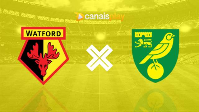 Assistir Watford x Norwich City ao vivo 28/11/2023 online