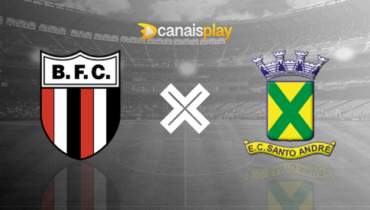 Assistir Botafogo-SP x Santo André ao vivo 01/02/2024