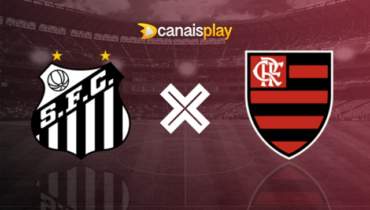 Assistir Santos x Flamengo HD 24/04/2024 ao vivo 